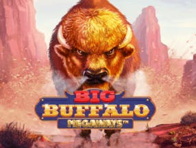 Logo of Big Buffalo Megaways from Skywind Group at Palace Of Chance Casino