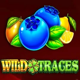 Wild Traces online game logo by Amusnet Interactive on palaceofchance.ca